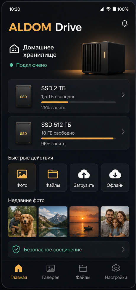 Главный экран ALDOM Drive с двумя SSD